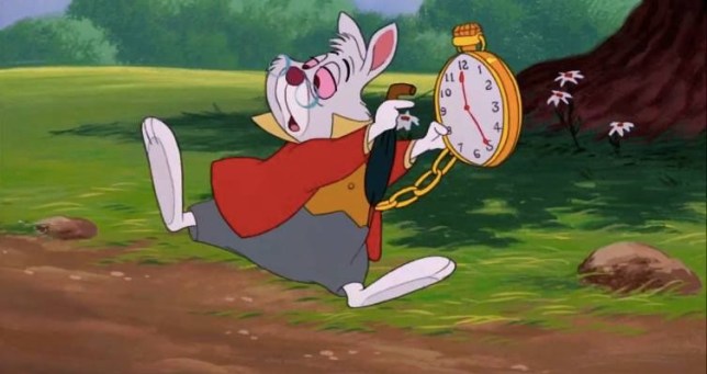 19c124db51d743102c94914abeaa7557